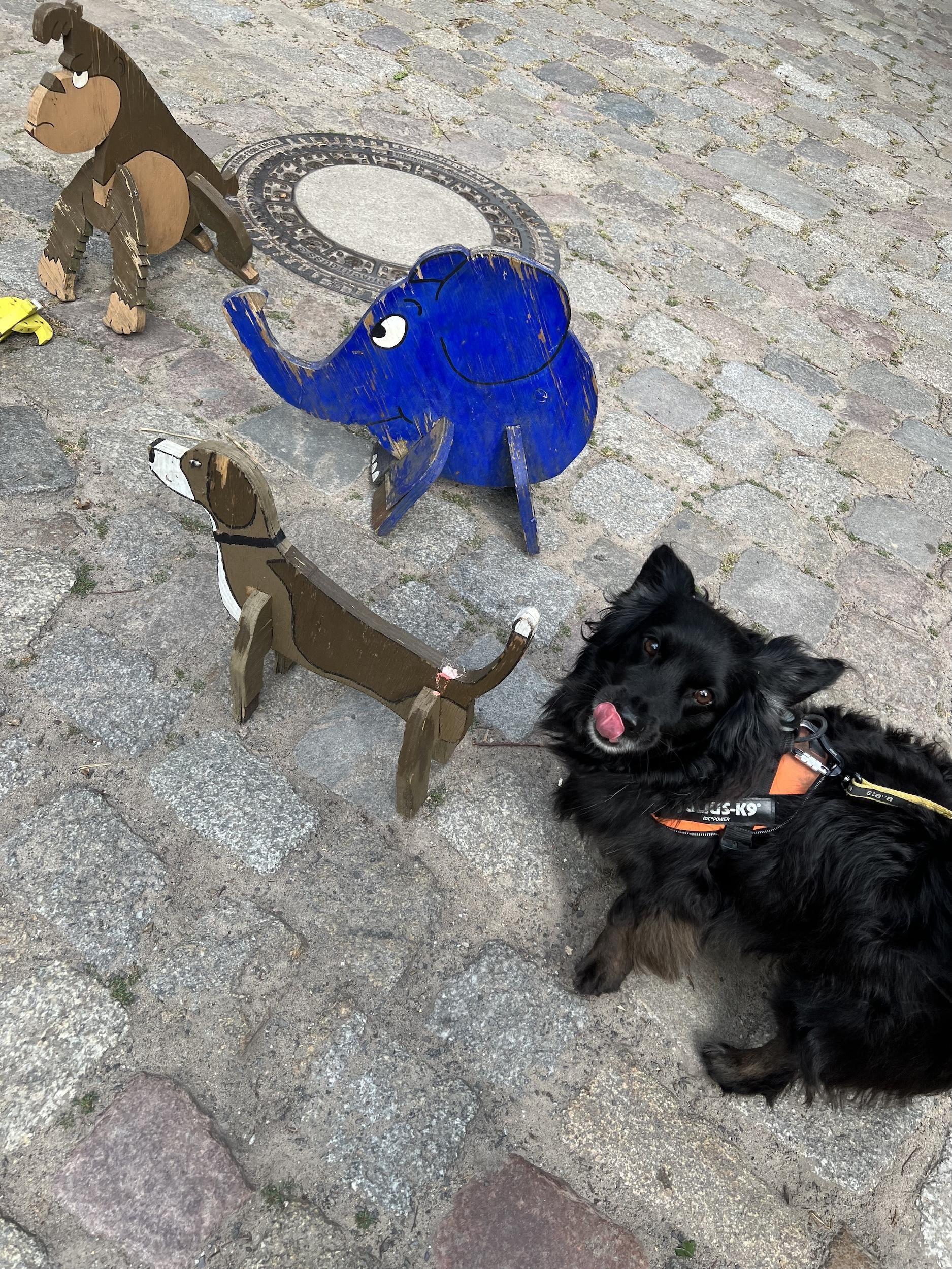 А на данном фото пёся нашел себе нового друга и не понимает почему он такой деревянный