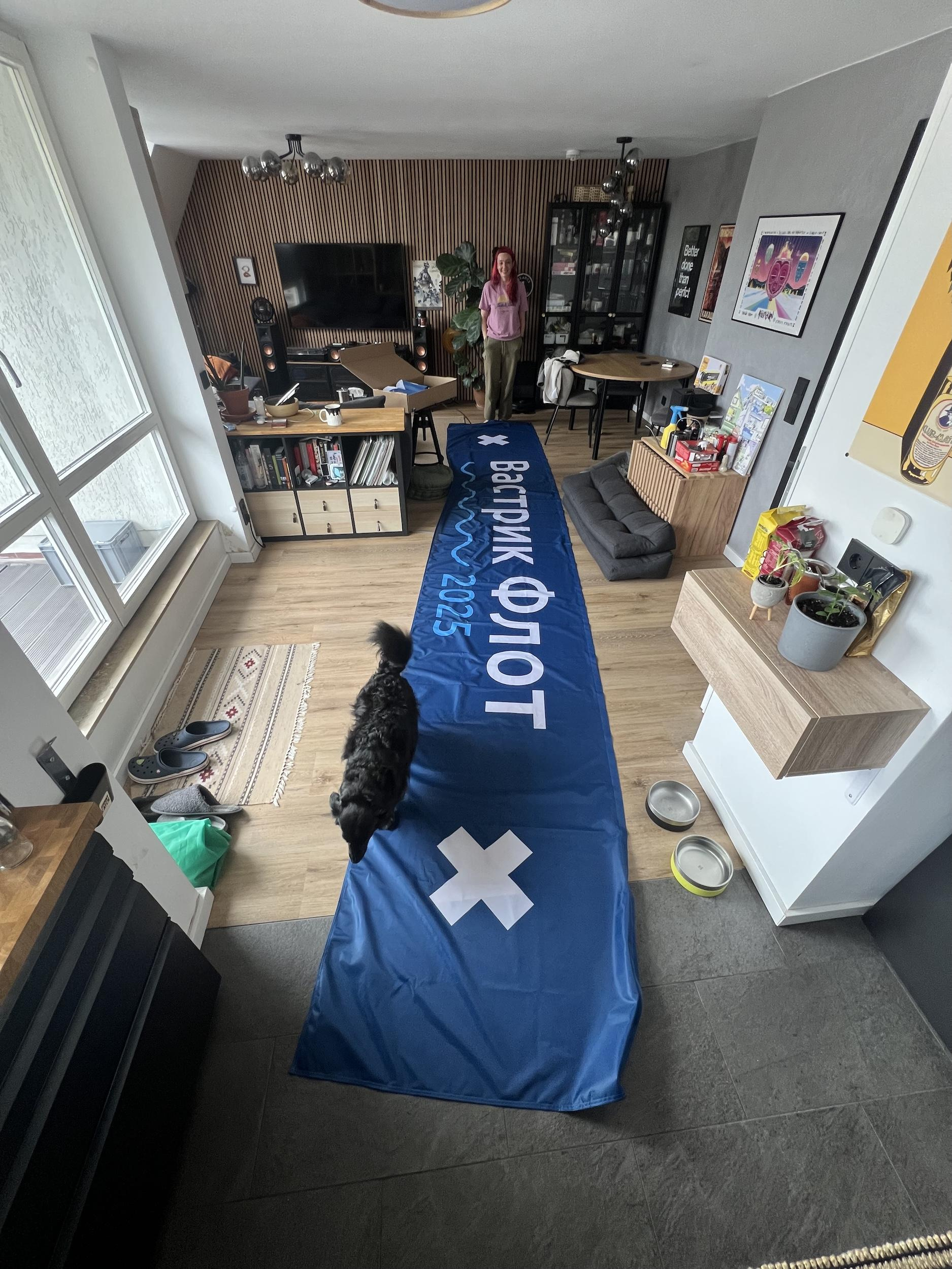 А тут пёся оценивает размер флагов для Флота. Примерно десять пёсей