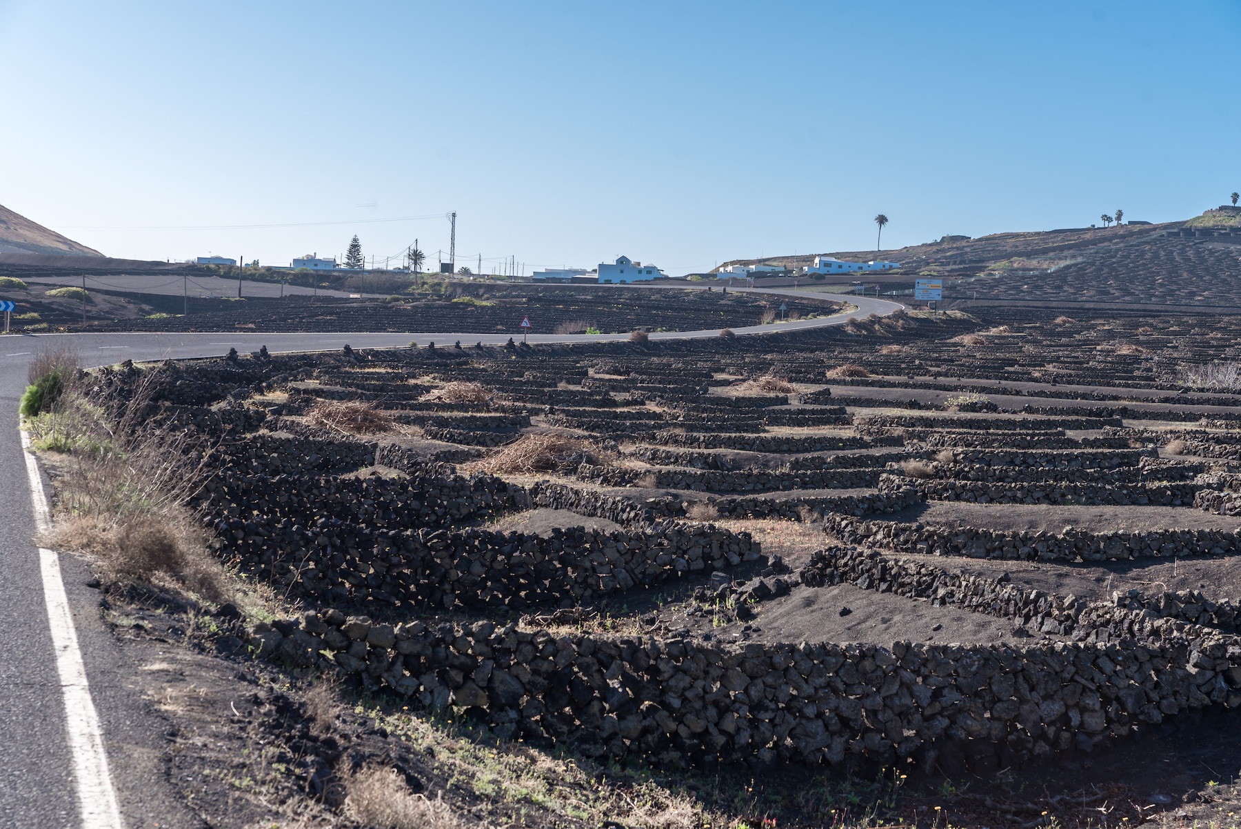 Так местные пытаются решить проблему отсутствия земли и воды — выращивают виноград прямо в вулканическом пепле, собирая росу