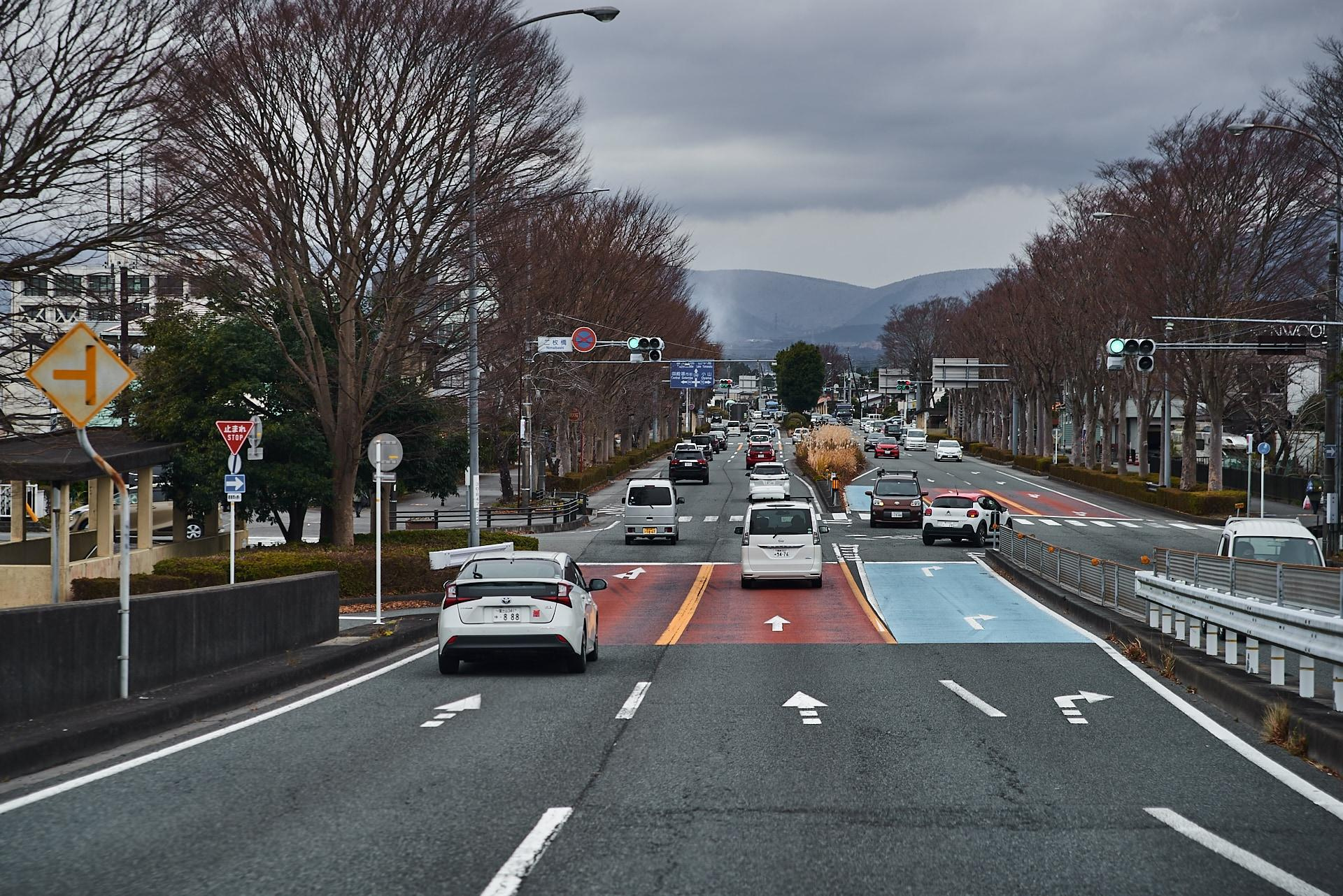 Хоть ехать приходится по неправильной стороне, японские дороги очень хорошо организованы и никаких проблем даже с большим трафиком не возникает